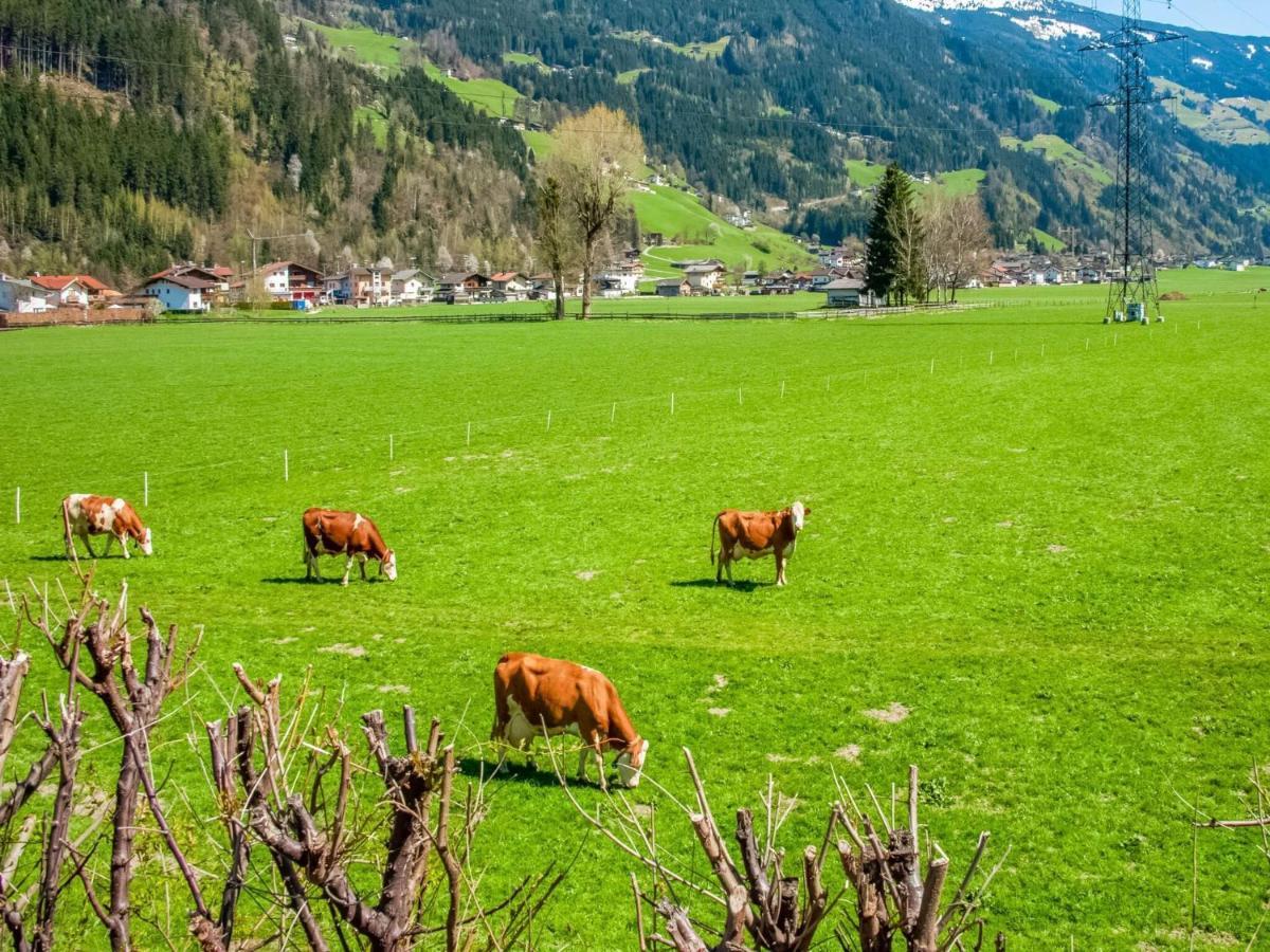 Beautiful Apartment In Ramsau With Balcony Ramsau im Zillertal Esterno foto